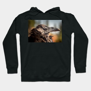 Common Raven Portrait Hoodie